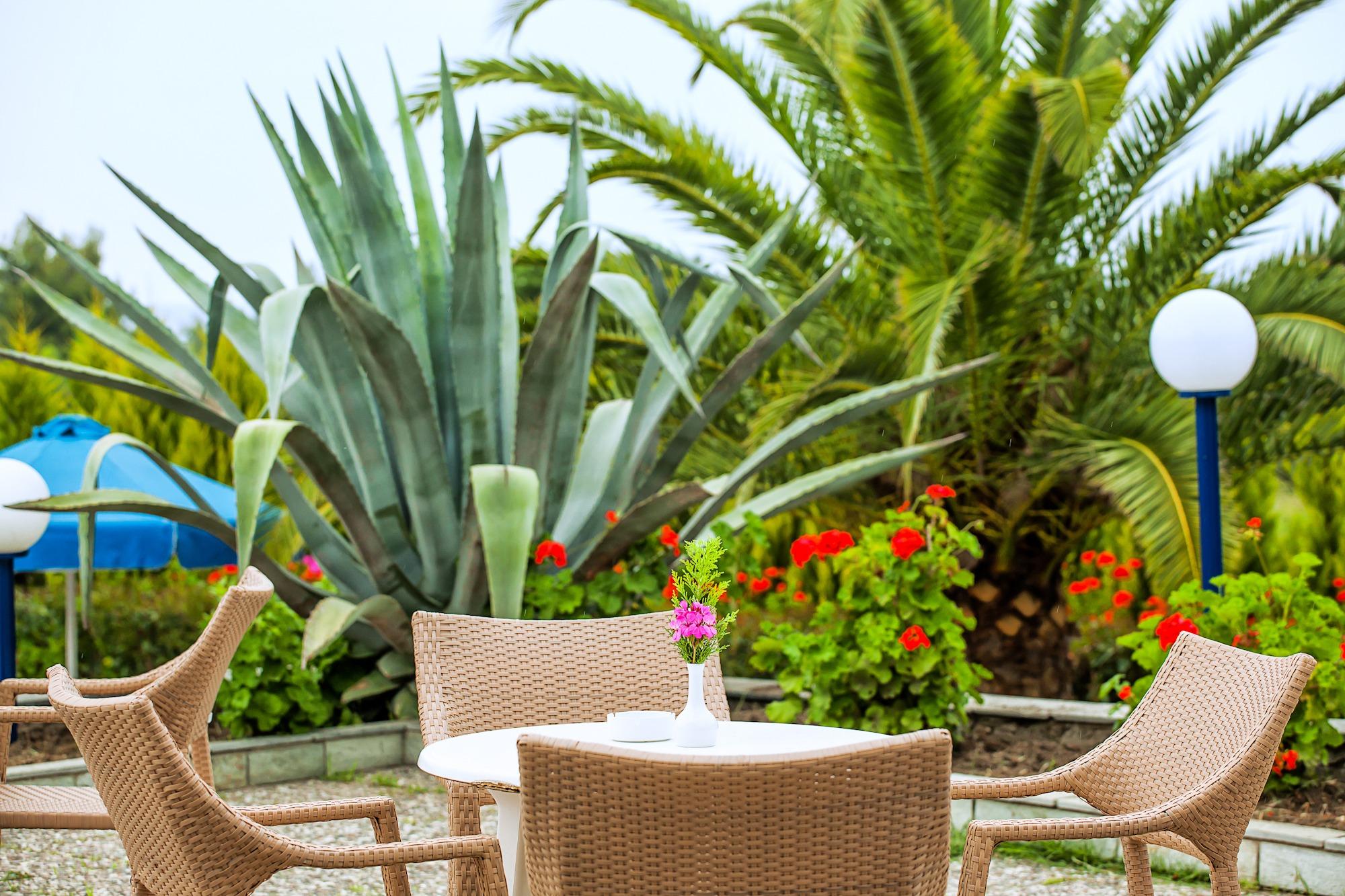 Xenios Port Marina Hotel Pefkochori Exterior photo