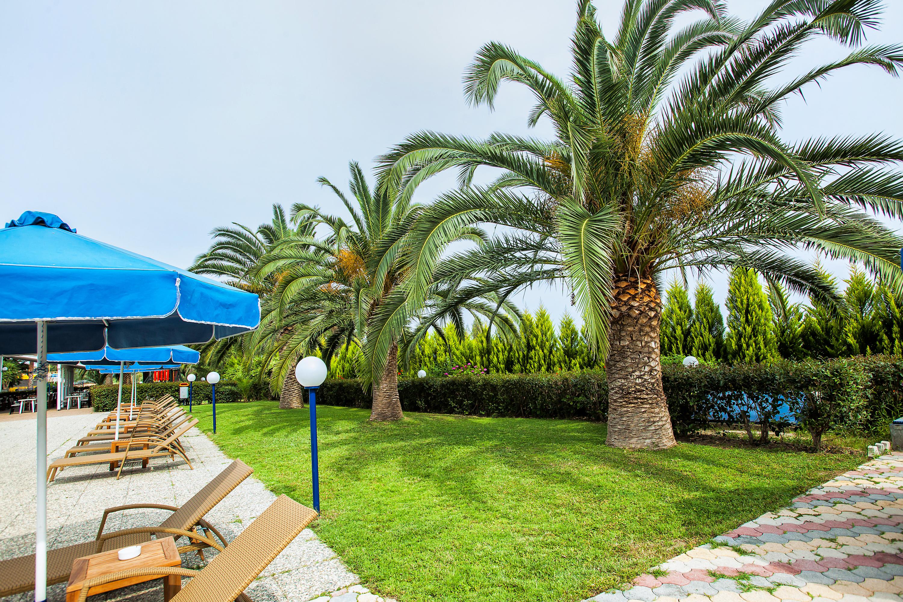 Xenios Port Marina Hotel Pefkochori Exterior photo