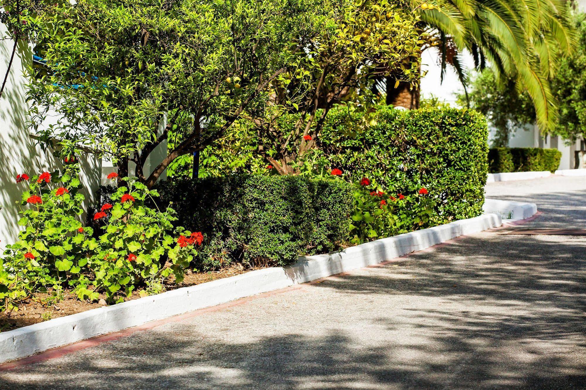 Xenios Port Marina Hotel Pefkochori Exterior photo